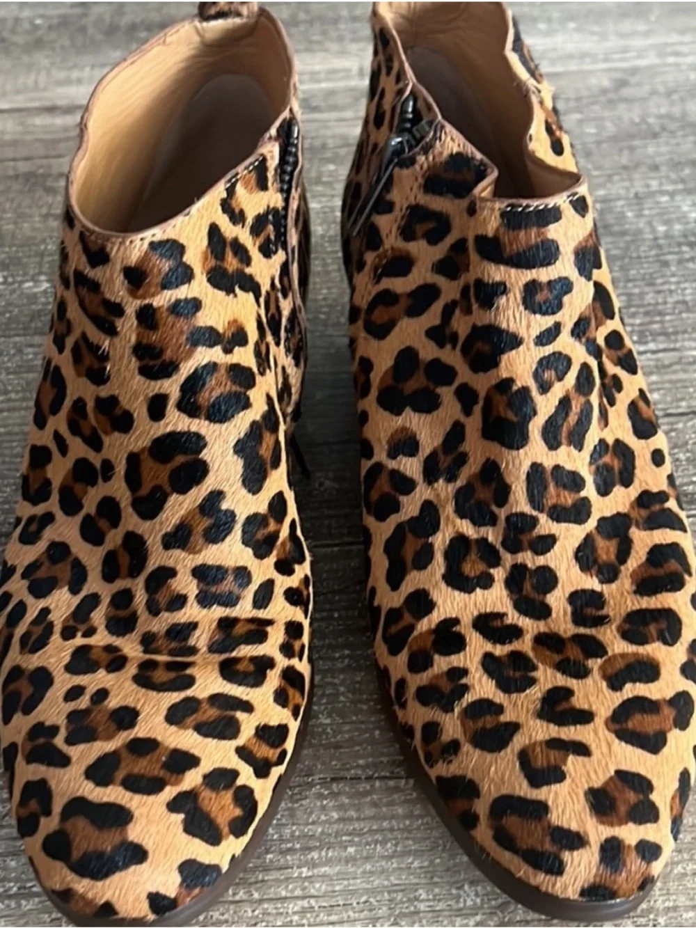 J. Crew Leopard Print Ankle Booties in Tan and Black